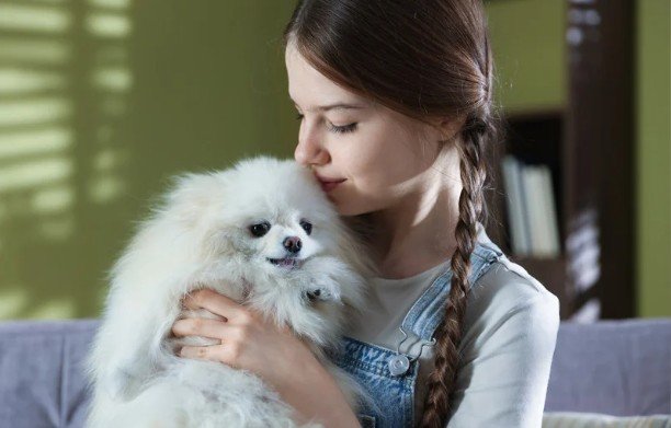 Benefits of Pet Therapy - Why You Need a Furry Friend