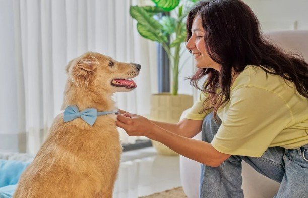 Who Can Benefit from Pet Therapy