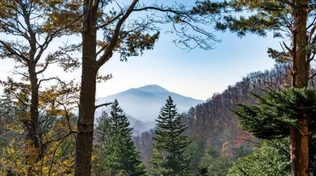 Great-Smoky-Mountains-National-Park