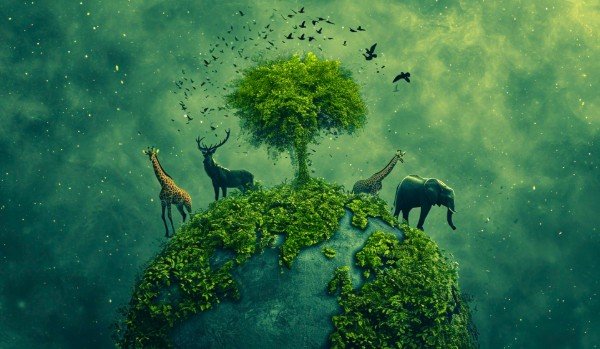 How I Would Plan a Comfortable National Park Day