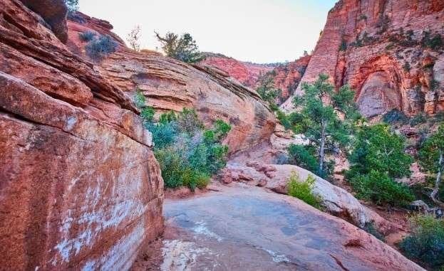 Zion-National-Park