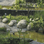 Chat Rock and the Real Value of Better Landscape Materials