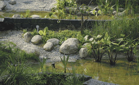 Chat Rock and the Real Value of Better Landscape Materials