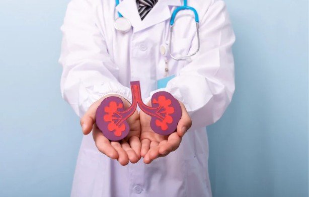 Supporting Adrenal Health and Stress Management Pathways