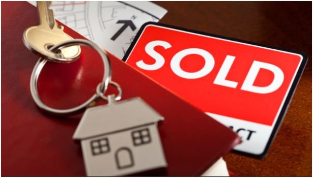 The Role of Professional Conveyancers in Queensland