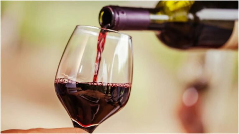 Exploring the Rich World of Red Wines
