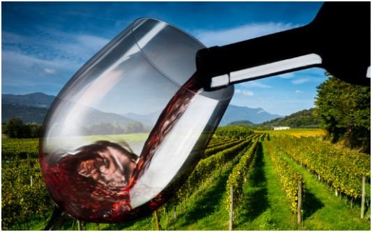 Popular Types of Red Wines