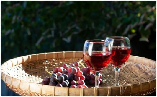 Winemaking Techniques and Their Effects