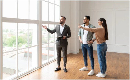 Tailored Property Search and Analysis